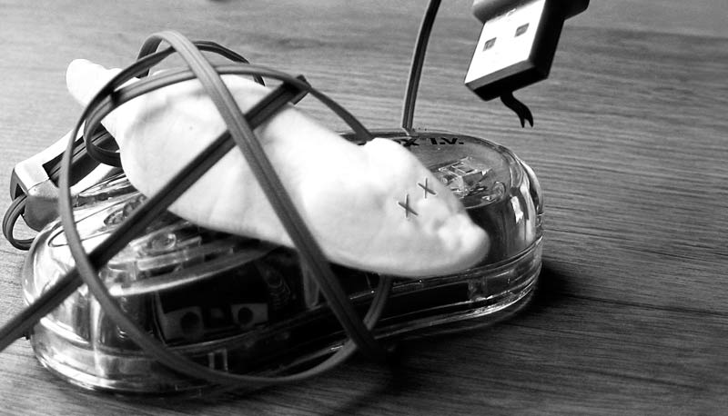 Mouse transformation